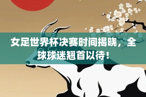 女足世界杯决赛时间揭晓，全球球迷翘首以待！漯河市盈旭机械设备有限公司