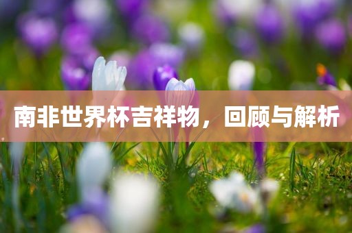 南非世界杯吉祥物，回顾与解析