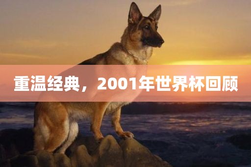 重温经典，2001年世界杯回顾