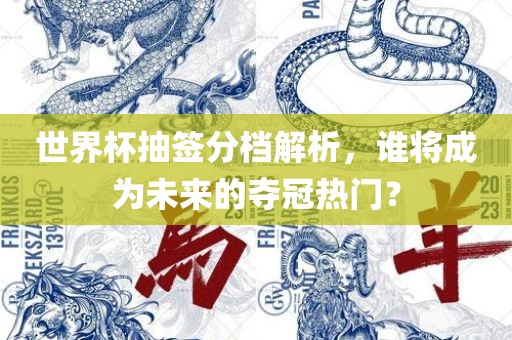 世界杯抽签分档解析，谁将成为未来的夺冠热门？
