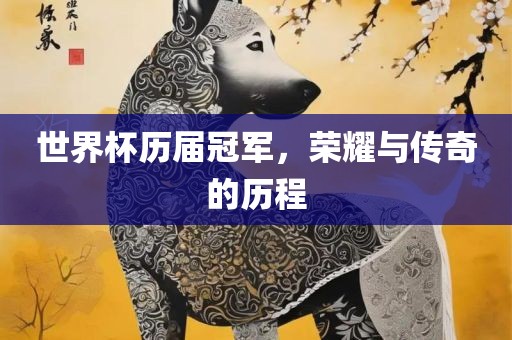 世界杯历届冠军，荣耀与传奇的历程