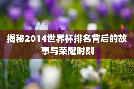 揭秘2014世界杯排名背后的故事与荣耀时刻漯河市盈旭机械设备有限公司