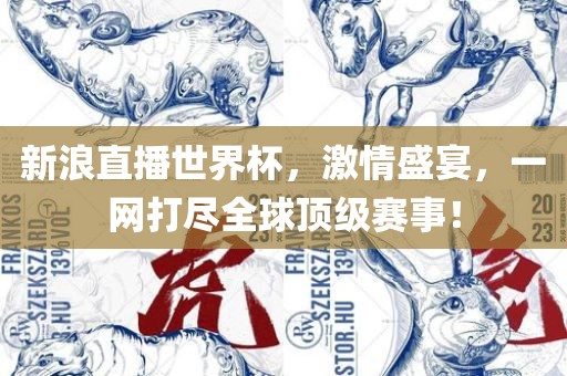 新浪直播世界杯，激情盛宴，一网打尽全球顶级赛事漯河市盈旭机械设备有限公司！