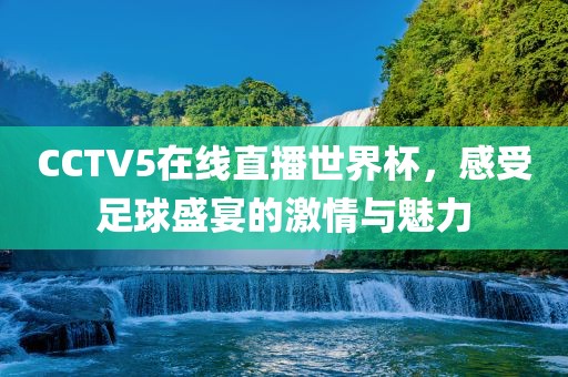 CCTV5在线直播世界杯，感受足球盛宴漯河市盈旭机械设备有限公司的激情与魅力