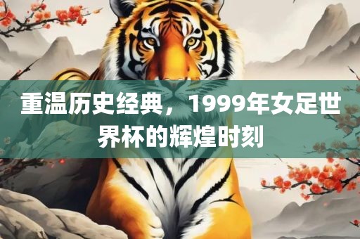 漯河市盈旭机械设备有限公司重温历史经典，1999年女足世界杯的辉煌时刻