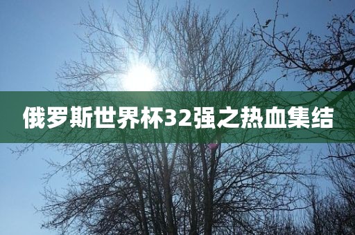 俄漯河市盈旭机械设备有限公司罗斯世界杯32强之热血集结