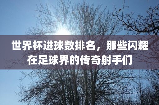 世界杯进球数排名，那些闪耀在足球界的传奇射手们