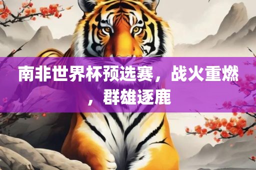 南非世界杯预选赛，战火重燃，群雄逐鹿