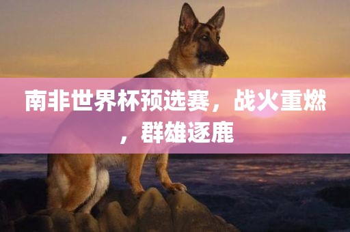南非世界杯预选赛，战火重燃，群雄逐鹿