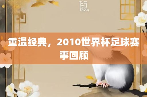 重温经典，2010世界杯足球赛事回顾