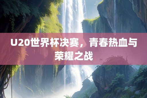 U20世界杯决赛，青春热血与荣耀之战漯河市盈旭机械设备有限公司