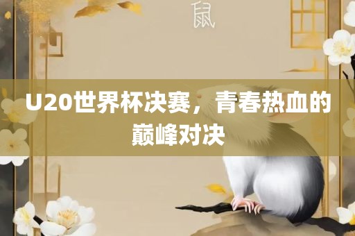 U20世界杯决赛，青春热血的巅峰对决漯河市盈旭机械设备有限公司