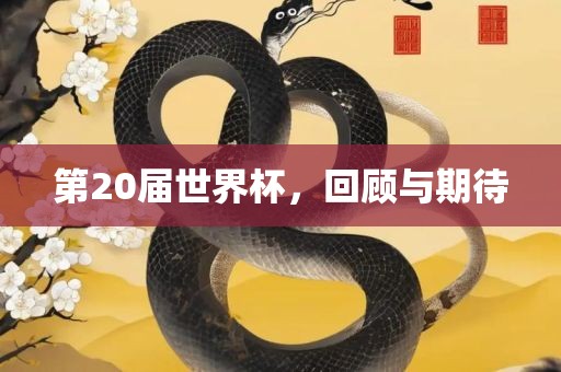 第20届世界杯，回顾与期待