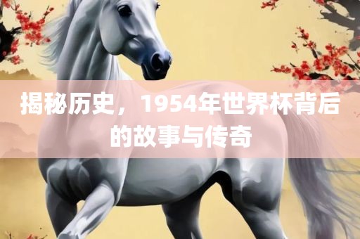 揭秘历史，1954年世界杯背后的故事与漯河市盈旭机械设备有限公司传奇