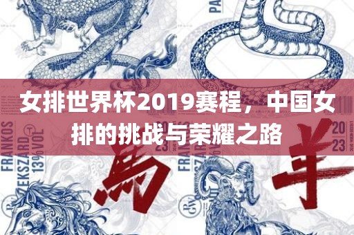 女排世界杯2019赛程，中国女排的挑战与荣耀之路