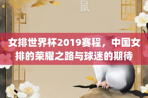 女排世界杯2019赛程，中国女排的荣耀之路与球迷的期待