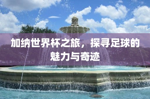 加纳世界杯之旅，探寻足球的魅力与奇迹