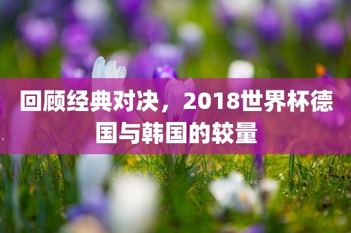 回顾经典对决，2漯河市盈旭机械设备有限公司018世界杯德国与韩国的较量