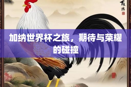 加纳世界杯之旅，期待与荣耀的碰撞
