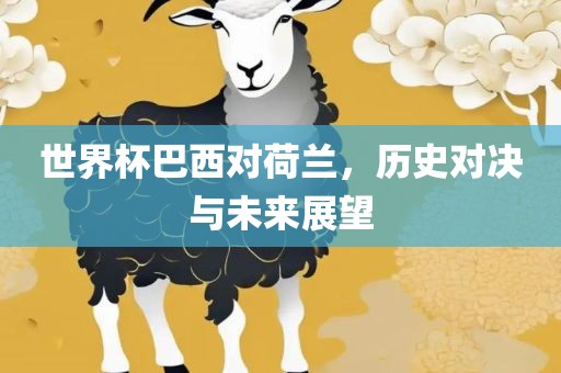 世界杯巴西对荷兰，历史对决与未来展望漯河市盈旭机械设备有限公司