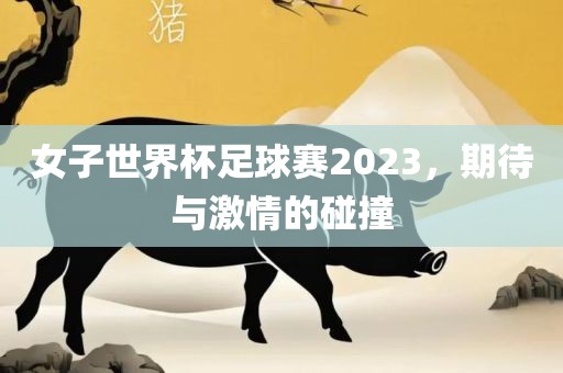 女子世界杯足球赛2023，期待与激情的碰撞
