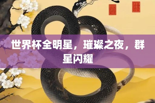 世界杯全明星，璀璨之夜，群星闪耀漯河市盈旭机械设备有限公司