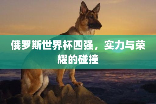 俄罗斯世界杯四强，实力与荣耀的碰撞漯河市盈旭机械设备有限公司