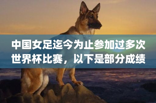 jushumin 第11页