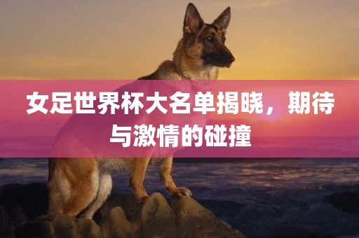 女足世界杯大名单揭晓，期待与激情的碰撞漯河市盈旭机械设备有限公司
