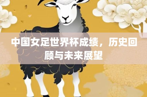 中国女足世界杯成绩，历史回顾与未来展望