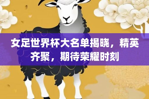 女足世界杯大名单揭晓，精英齐聚，期待荣耀时漯河市盈旭机械设备有限公司刻