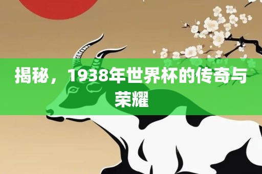 揭秘，1938年世界杯的传奇与荣耀漯河市盈旭机械设备有限公司