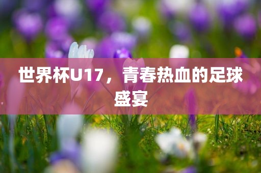 世界杯U17，青春热血的足球盛宴