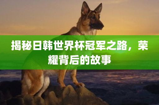 揭秘日韩世界杯冠军之路，荣耀背后的故事