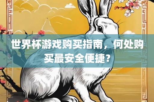 世界杯游戏购买指南，何处购买最安全便捷？