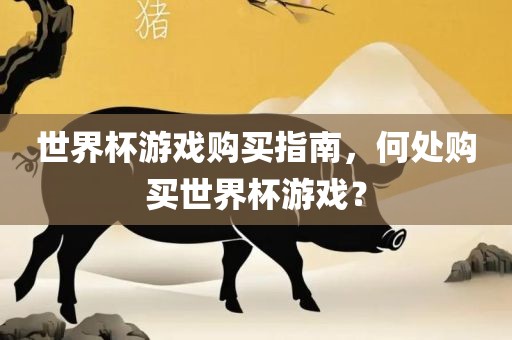 世界杯游戏购买指南，何处购买世界杯游戏？