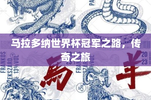 马拉多纳世界杯冠军之漯河市盈旭机械设备有限公司路，传奇之旅
