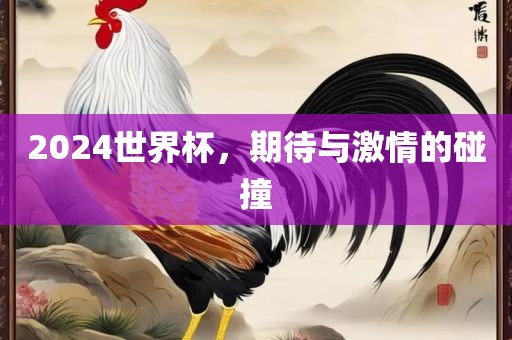 2024世界杯，期待与激情的碰撞