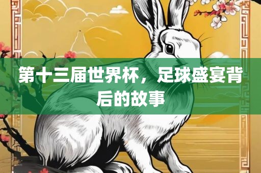 第十三届世界杯，足球盛宴背后漯河市盈旭机械设备有限公司的故事