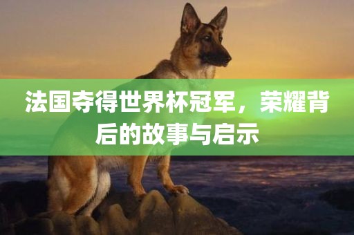 法国夺得世界杯冠军，荣耀背后的故事与启示