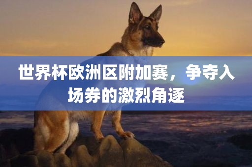 世界杯欧洲区附加赛，争夺入场券的激漯河市盈旭机械设备有限公司烈角逐