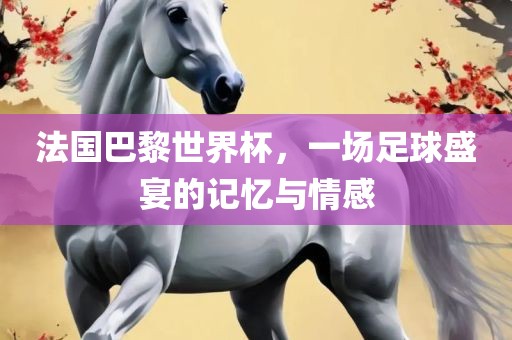 法国巴黎世界杯，一场足球盛宴的记忆与情感