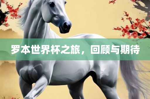 罗本世界杯之旅，回顾与期待