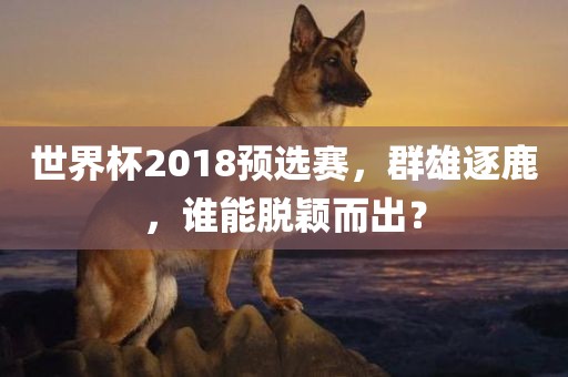 世界杯2018预选赛，群雄逐鹿，谁能脱颖而出？