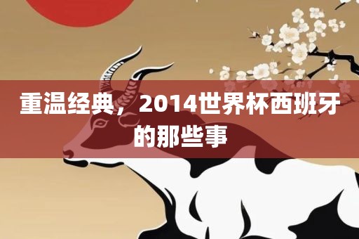 重温经典，2014世界杯西班牙的那些事