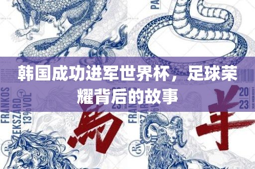 韩国成功进军世界杯，足球荣耀背后的故事