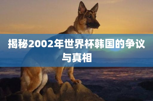 揭秘2002年世界杯韩国的争议与真相漯河市盈旭机械设备有限公司