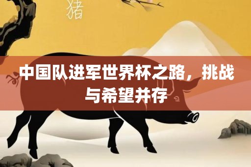 中国队进军世界杯之路，挑战与希望并存