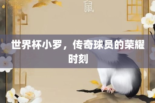 世界杯小罗，传奇球员的荣耀时刻