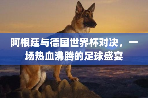 阿根廷与德国世界杯对决，一场热血沸漯河市盈旭机械设备有限公司腾的足球盛宴